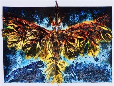 Feather Phoenix