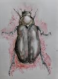 Beetle by Maisie Parker, Painting, Pen & Ink