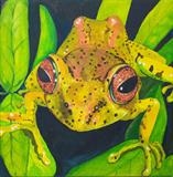 Bug-eyed Frog by Maisie Parker, Painting, Acrylic and Ink on canvas