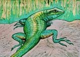 Lizard Free/1 by Maisie Parker, Artist Print